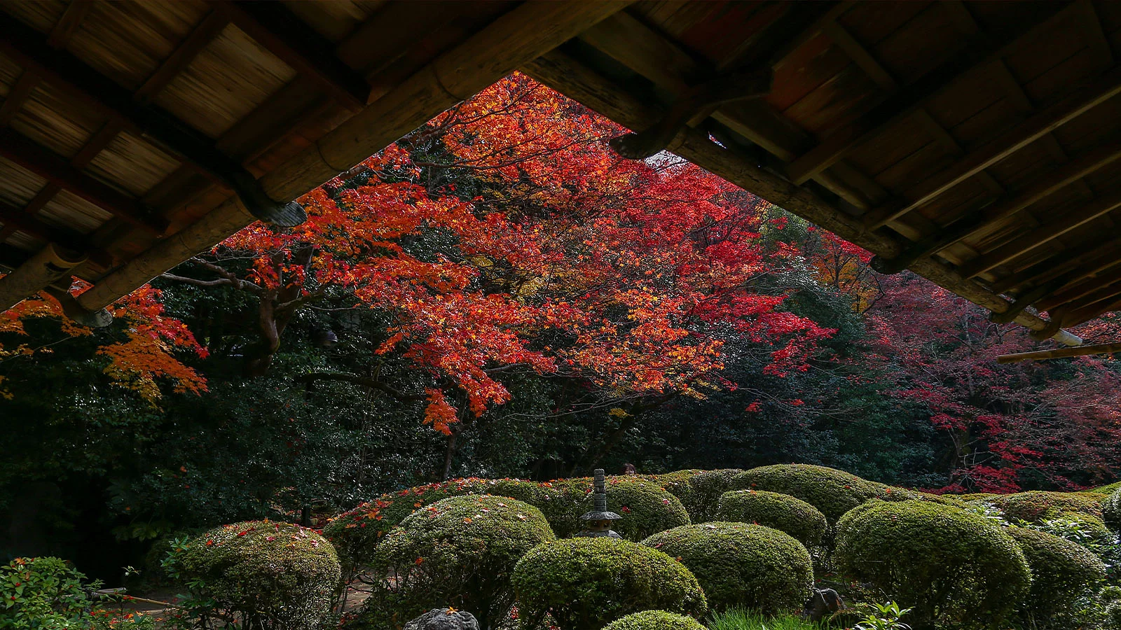 Kyoto