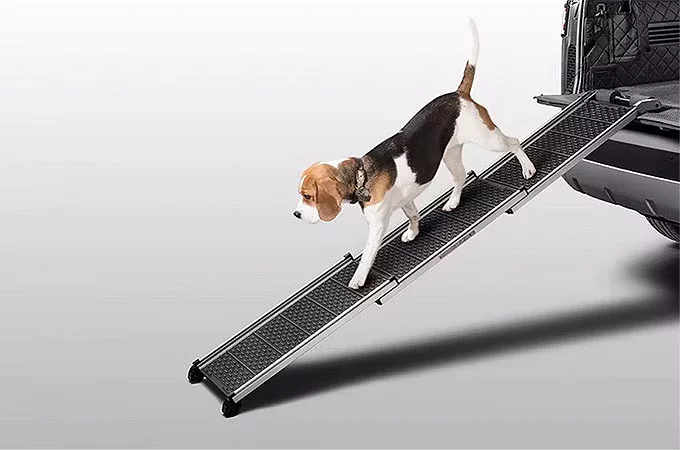 PET ACCESS RAMP