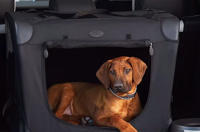 FOLDABLE PET CARRIER