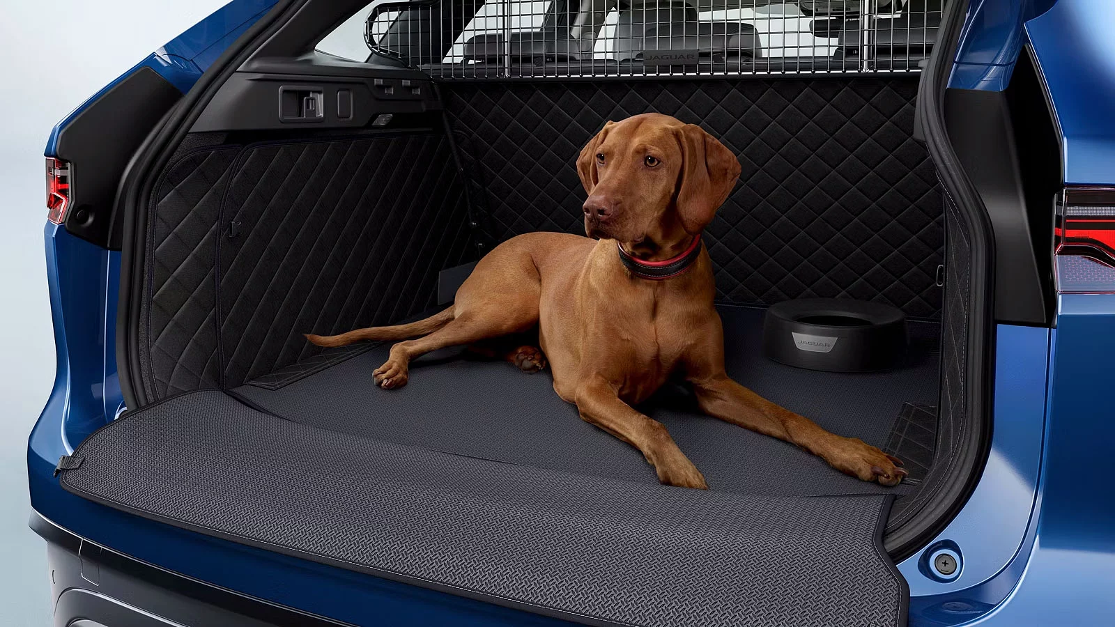 PET LUGGAGE COMPARTMENT PROTECTION PACK