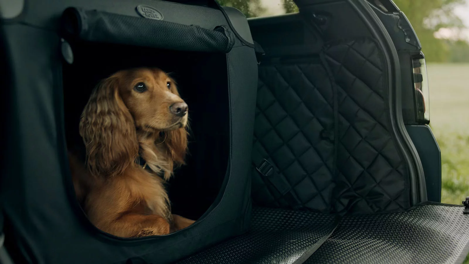 Espacio de almacenamiento para mascotas en el automóvil