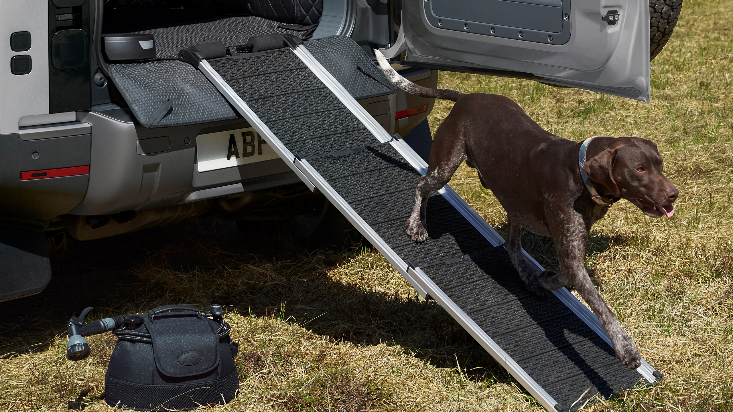 FOR ANIMAL COMPANIONS