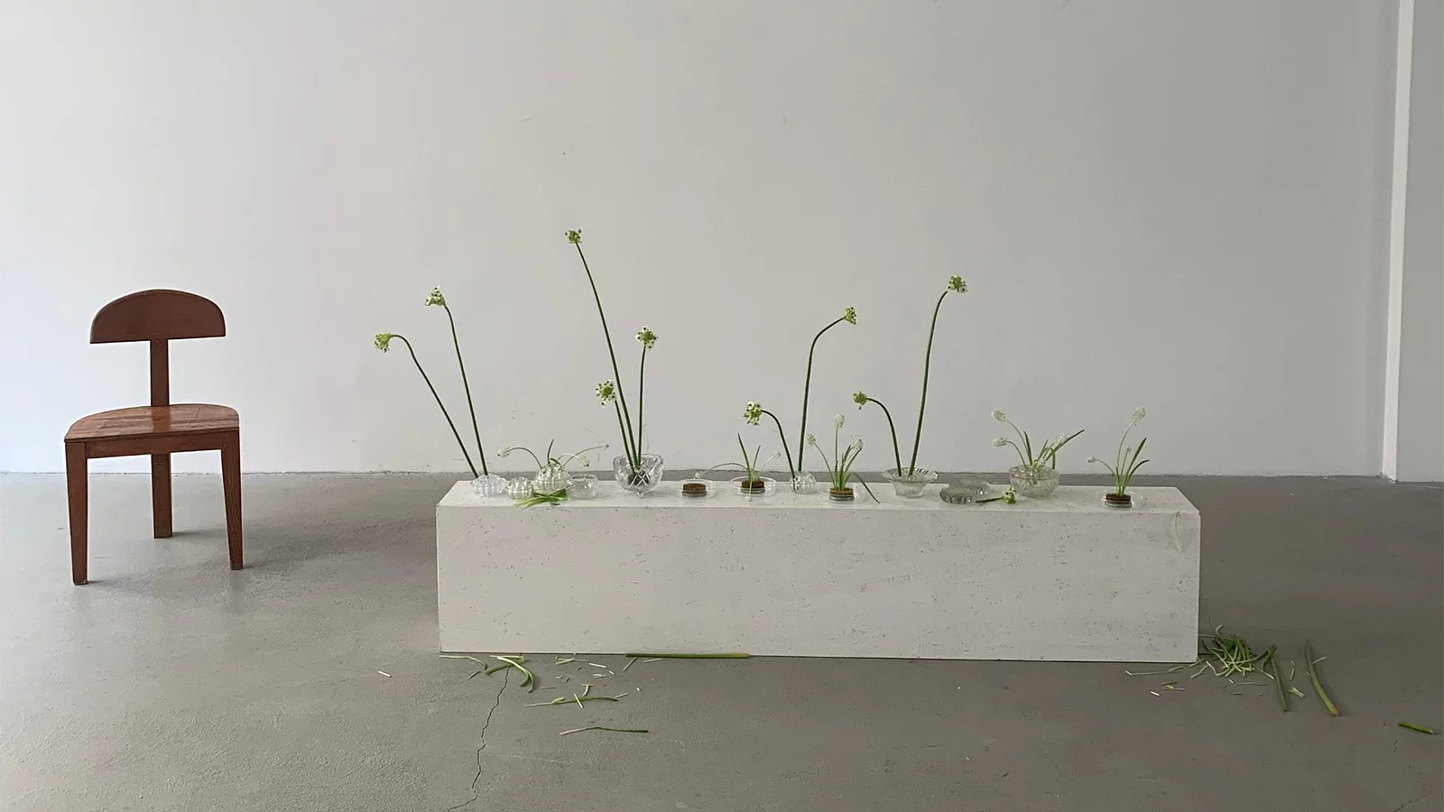 FLORAL ESTETİĞİN FELSEFESİ.