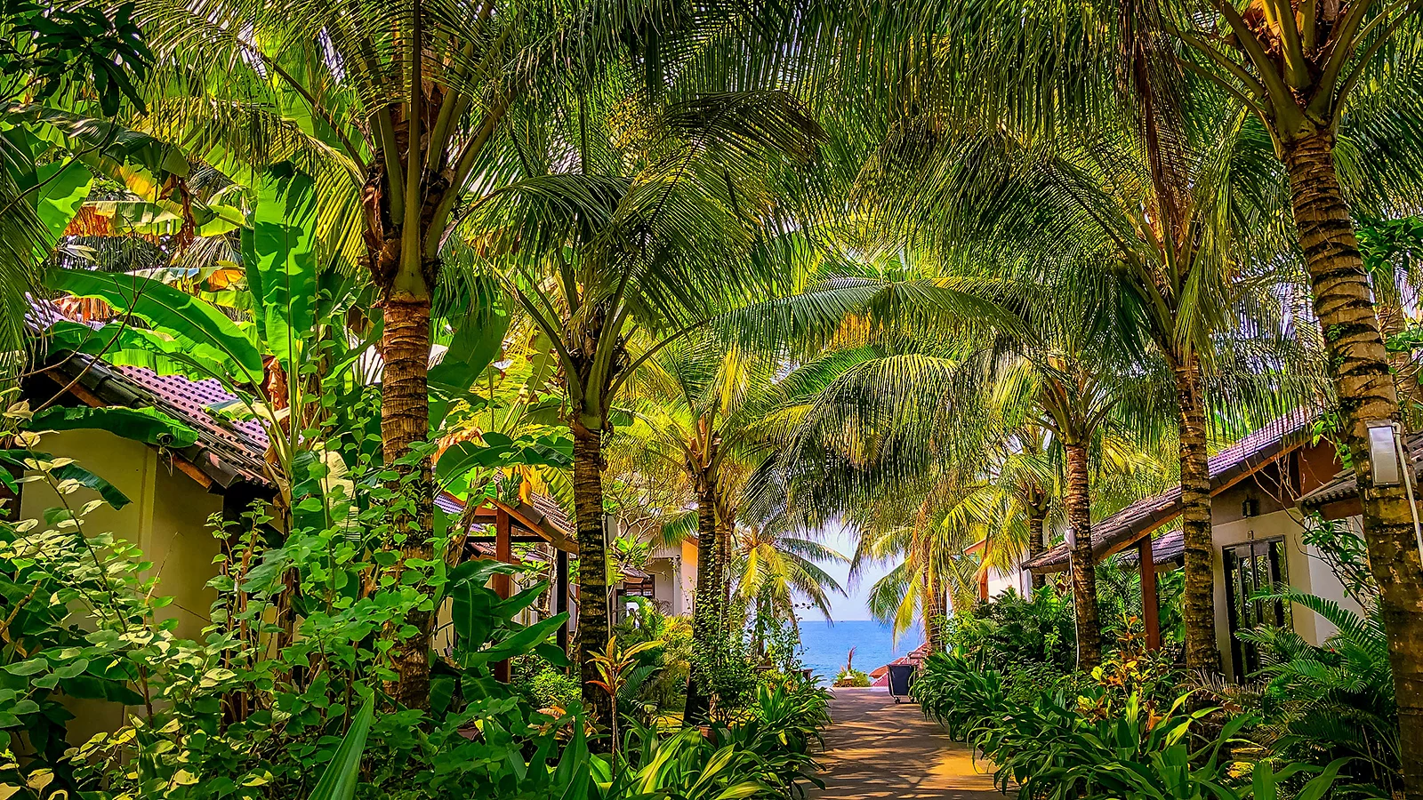 Barefoot luxury
