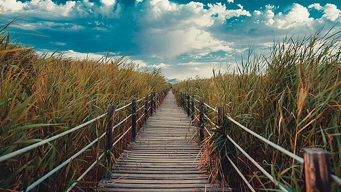 ZİRVEDEN BATAKLIĞA MACERA DOLU BİR YOLCULUK