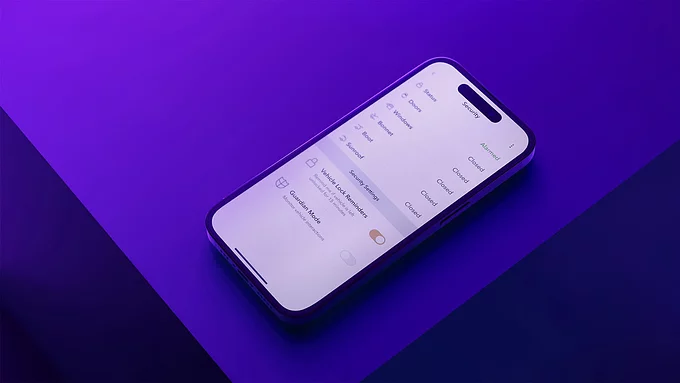 ÖRUGGUR EFTIRLITSBÚNAÐUR