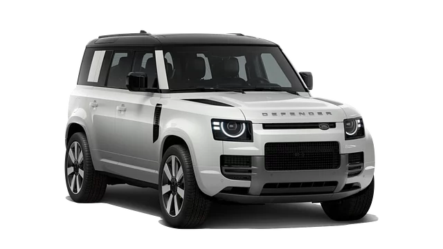 Defender Vertex