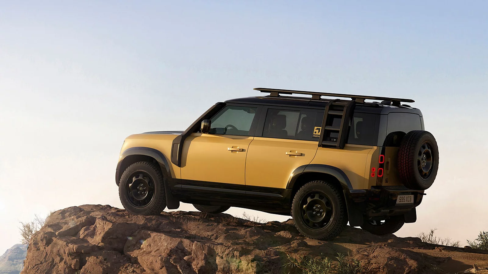 DEFENDER TROPHY