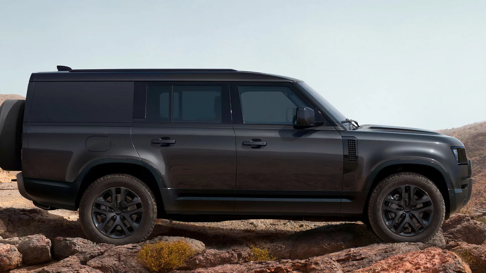 Defender on Rock
