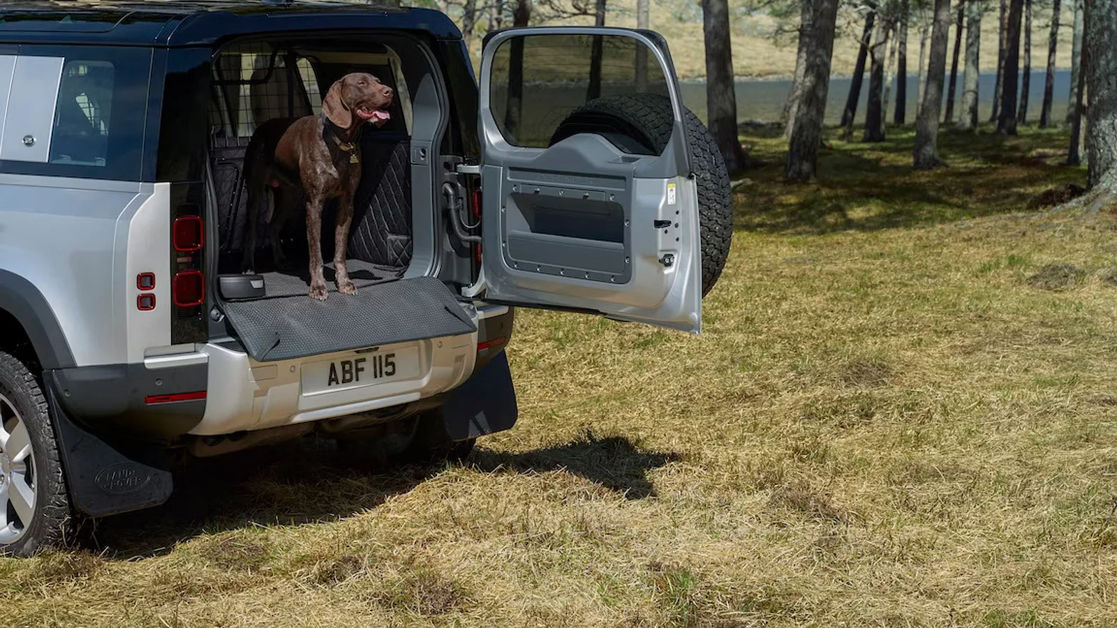 PET LOADSPACE PROTECTION PACK