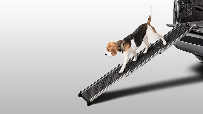 PET ACCESS RAMP