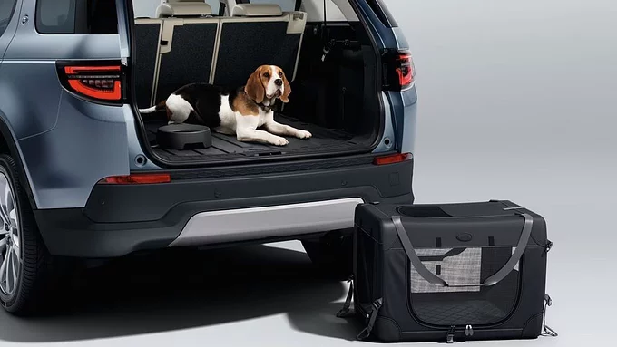 FOLDABLE PET CARRIER