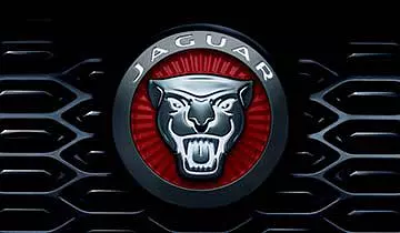 NEW DIESEL, PETROL OR ELECTRIC?