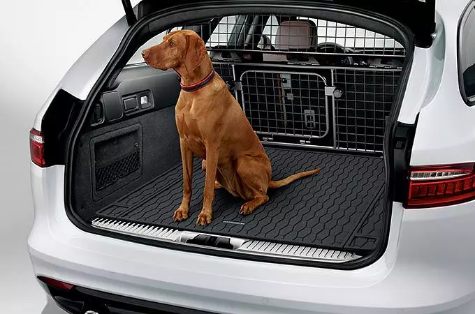 Jaguar e shop pace dog guard