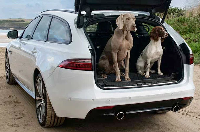 LET YOUR DOG IN ON THE ACTION WITH JAGUAR GEAR ACCESSORIES
