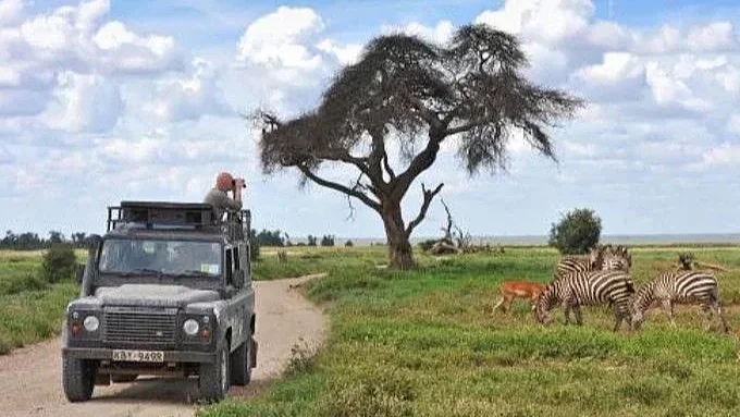 BORN FREE FOUNDATION