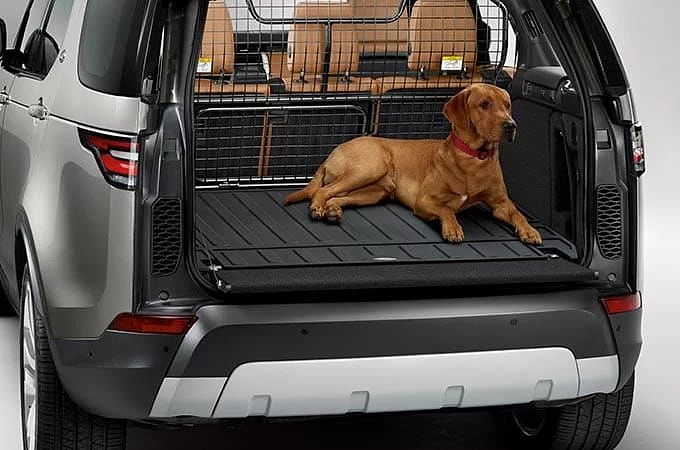 EVCİL HAYVAN PAKETİ 1