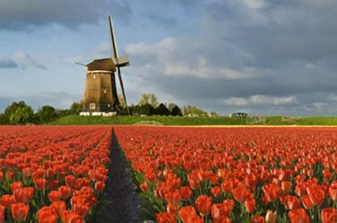 خبرة لاند روڤر