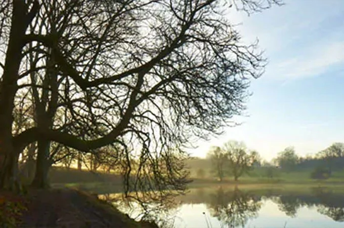 نورث يوركشاير