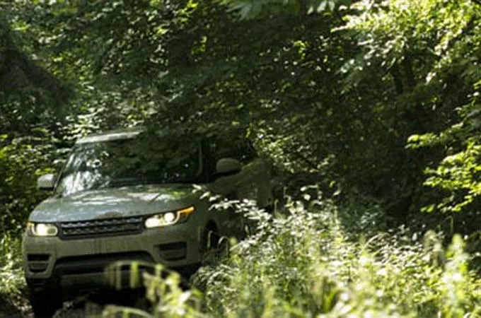 نورثرن كارولينا