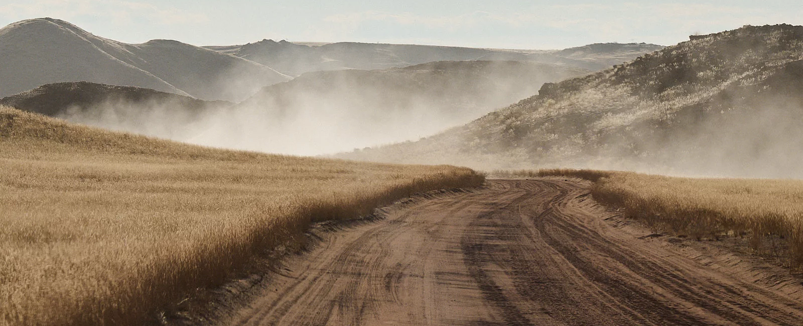 Dry Grasslands and Hills