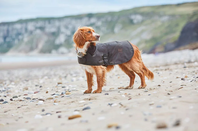 Barbour land rover wax dog coat sand new arrivals