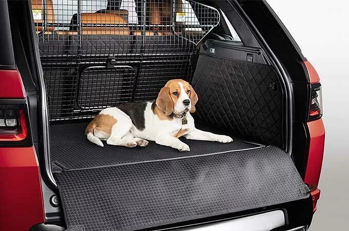 Dog crate hotsell splash guard