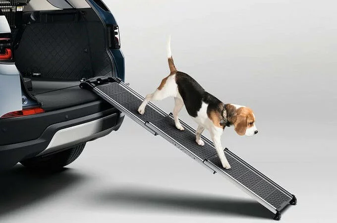 PET ACCESS RAMP