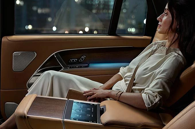 العناصر المميزة