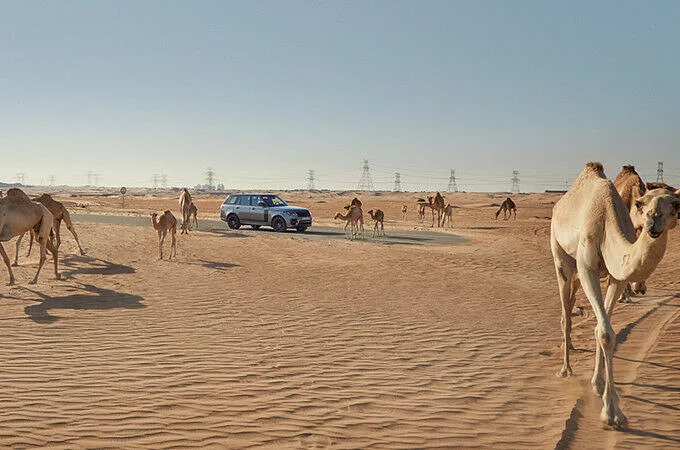 荒漠視界｜Range Rover x 2021 世界博覽會主辦國：杜拜