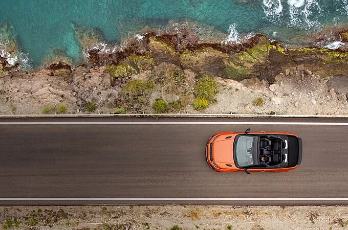 BÖLGENİN YERLİSİ GİBİ DOLAŞIN