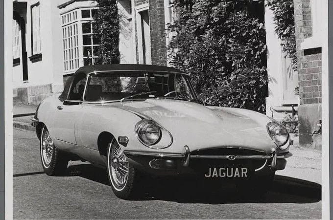 jaguar