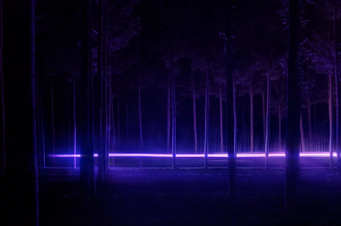 Neon effect shown in the forest 