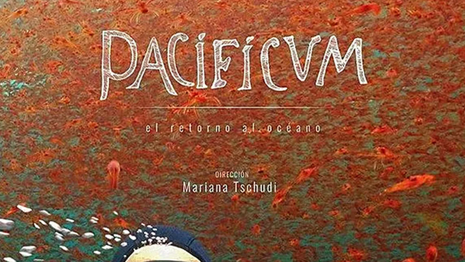 PACIFICUM: OKYANUSA DÖNÜŞ