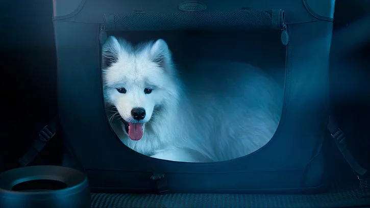 Mid-size luxury SUVs | Full Model Range Here | Land Rover Ελλάδα