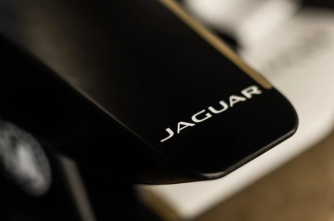 Detal Jaguar